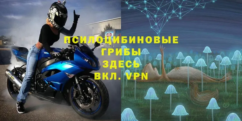 Псилоцибиновые грибы MAGIC MUSHROOMS  купить   Комсомольск 